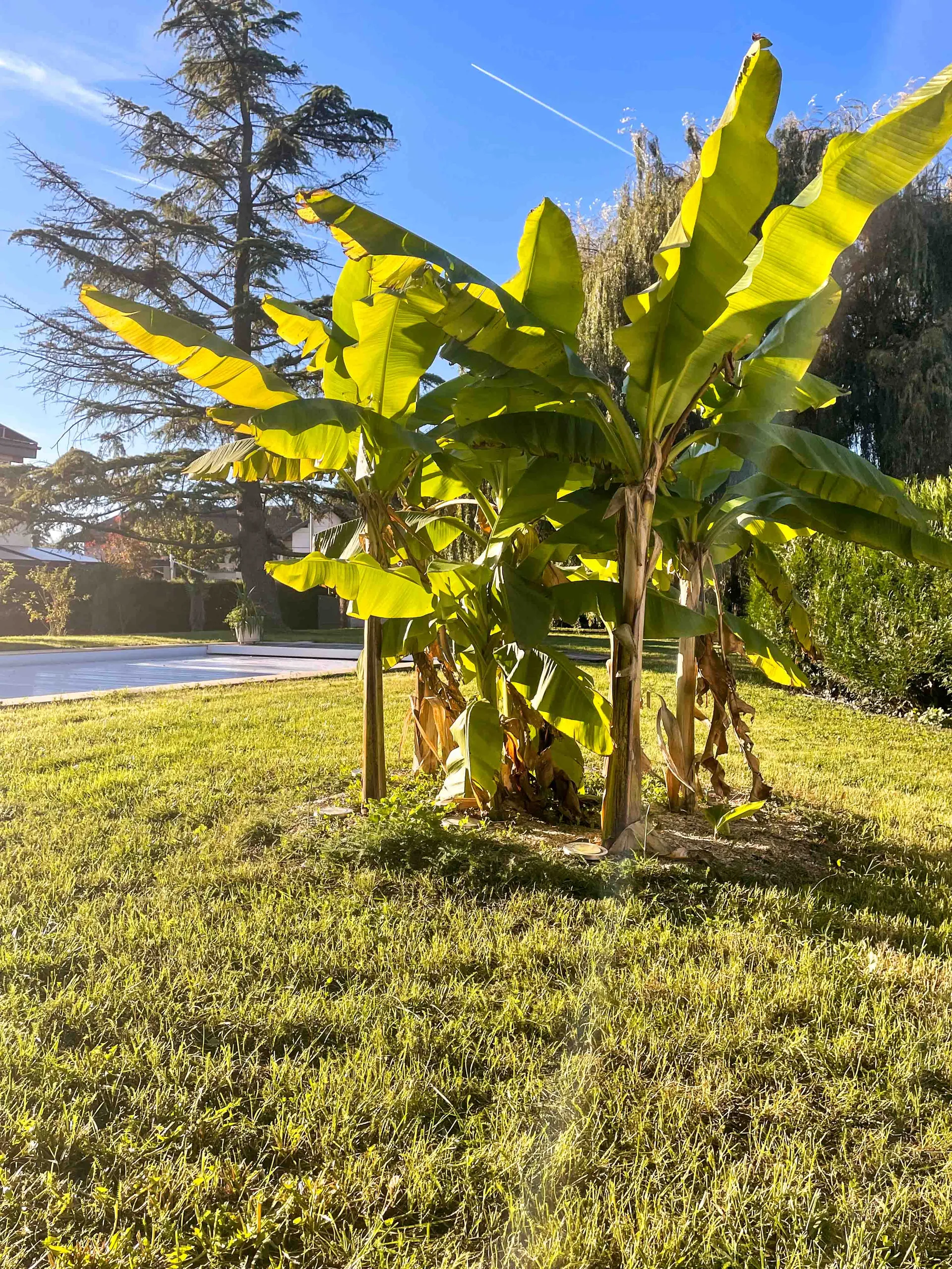 La Villa outdoor space